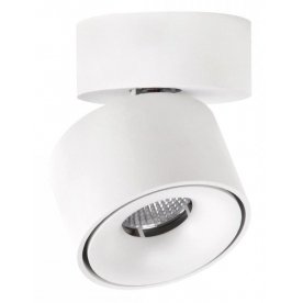 Потолочный светильник CL558010N