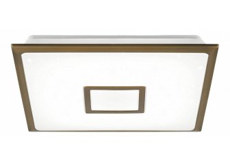 Потолочный светильник Старлайт CL70353R