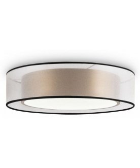 Потолочный светильник FR6005CL-L36G