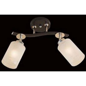 Спот Фортуна CL156121