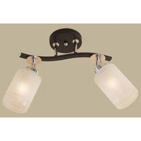 Спот Фортуна CL156121