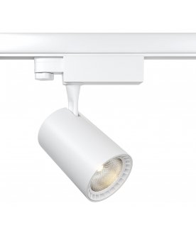 Трековый светильник TR029-3-10W3K-M-W