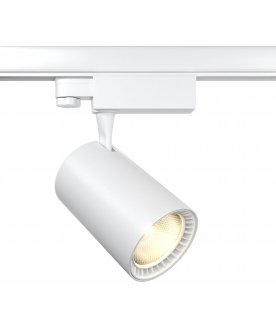 Трековый светильник TR029-3-30W3K-W