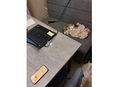 Стол Лота Лофт 140 25 мм юта / белый матовый фото покупателя 751