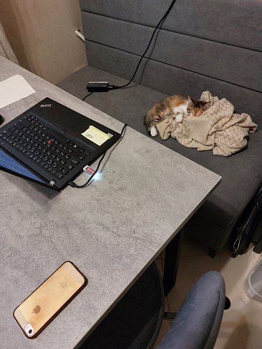 Деревянный стол Лота Лофт 120х75 белый матовый / дуб крафт золотой фото покупателя 751