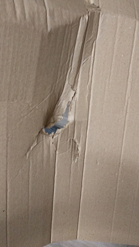 Стул на металлокаркасе Чилли черный / зеленый фото покупателя 1503