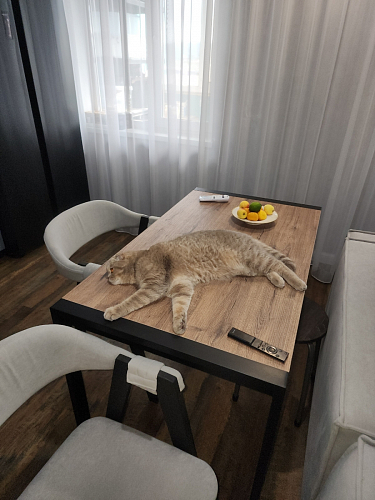 Стол Центавр 120(160)х70х75 файерстоун / черный матовый фото покупателя 42