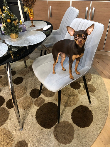 Комплект стульев Седа К 4 шт латте / черный фото покупателя 225