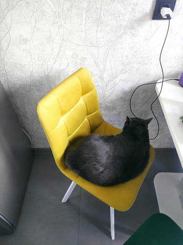 Стул на металлокаркасе Чилли зеленый / черный фото покупателя 1362