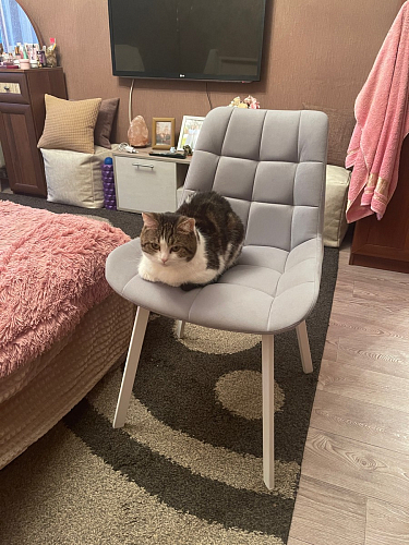 Стул на металлокаркасе Челси бежевый / белый каркас фото покупателя 11