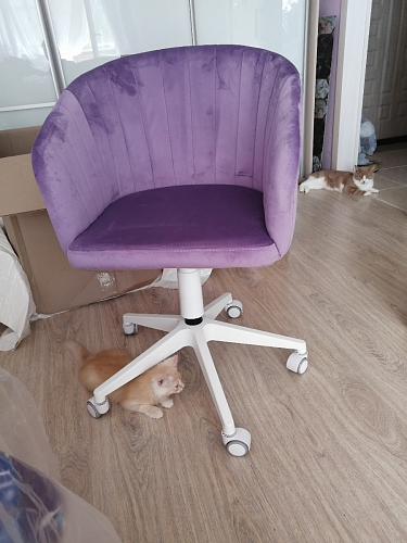 Компьютерное кресло Тибо confetti chocolate / белый фото покупателя 41