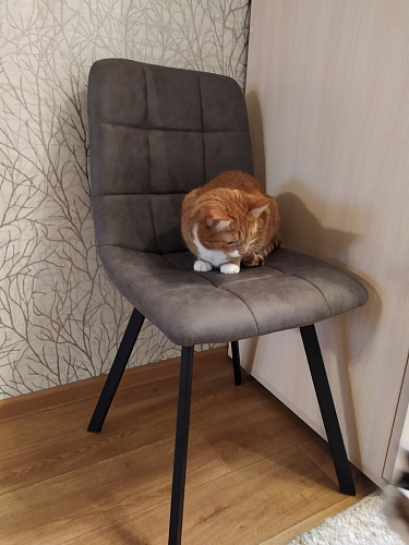 Стул на металлокаркасе Bruk light blue / black фото покупателя 2