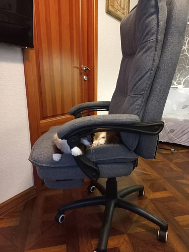 Компьютерное кресло Rapid голубое фото покупателя 164