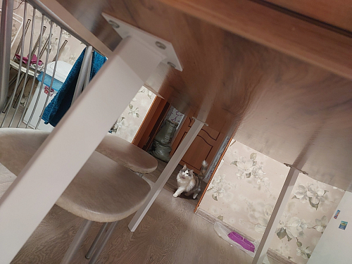 Стол Тринити Лофт 120 32 мм дуб галифакс табако / черный матовый фото покупателя 507