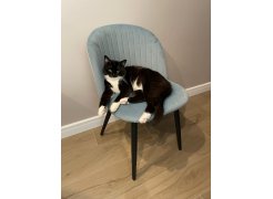 Стул на металлокаркасе Gabi 1 light purple / black фото покупателя 325