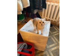 Стул на металлокаркасе Gabi 1 light purple / black фото покупателя 757