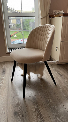 Стул на металлокаркасе Gabi 1 light purple / black / gold фото покупателя 11