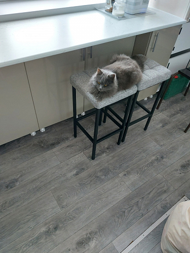 Барный стул Лофт катания минт / белый матовый фото покупателя 27