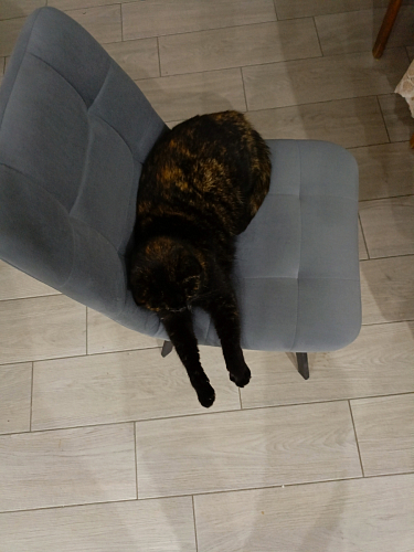 Стул на металлокаркасе Чилли темно-серый / черный каркас фото покупателя 528