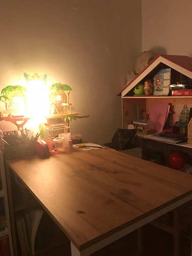 Письменный стол Битти Лофт 116х60х75 дуб делано светлый / белый матовый фото покупателя 16