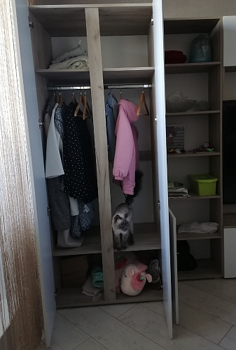 Модульная гостиная Алетра дуб крафт серый / глянец белый комплектация 1 фото покупателя 3