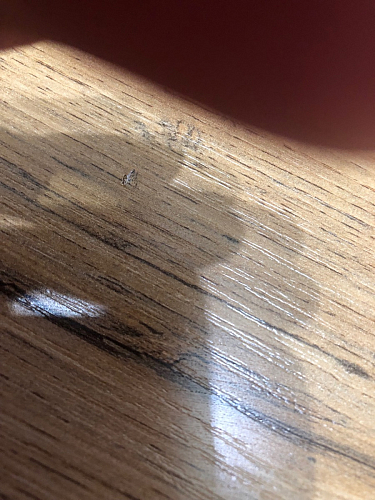 Стол Лота Лофт 120 32 мм бетон / черный матовый фото покупателя 130