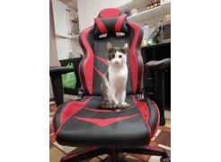 Компьютерное кресло Racer черное / оранжевое фото покупателя 44