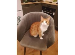 Кресло Корсо темно-серое / белый каркас фото покупателя 6