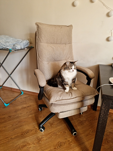 Компьютерное кресло Rapid голубое фото покупателя 227