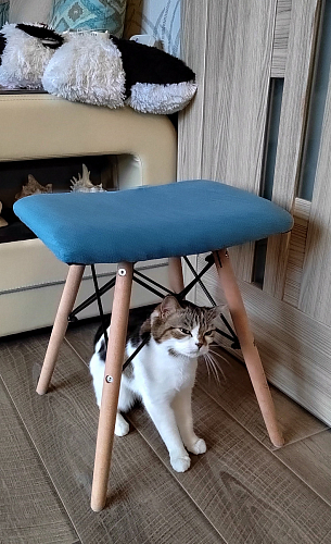 Табурет Ben pink фото покупателя 1