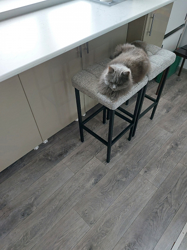 Барный стул Лофт катания минт / белый матовый фото покупателя 243