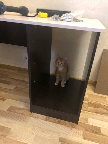 Стол письменный СП4 белый фото покупателя 11