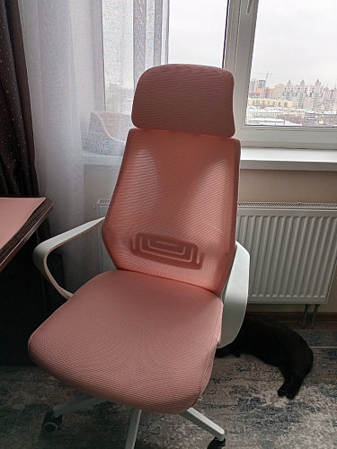 Компьютерное кресло Golem dark gray / white фото покупателя 66