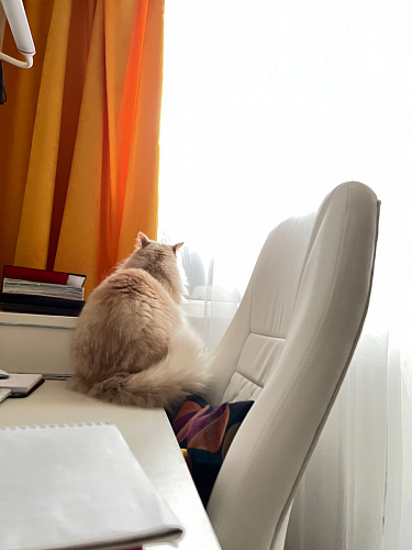 Компьютерное кресло Aragon dark grey - Уцененный экземпляр фото покупателя 163