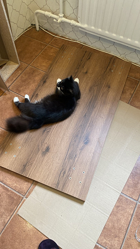 Стол Тринити Лофт 120 32 мм бетон / черный матовый фото покупателя 90