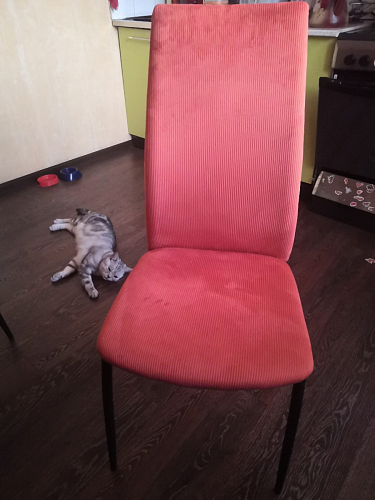 Стул на металлокаркасе Tod light blue / orange / black фото покупателя 38