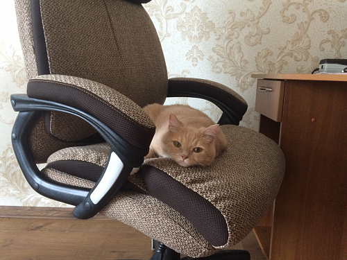 Компьютерное кресло Duke metal BL/Дюк МеталБл серый фото покупателя 9