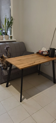 Стол Тринити Лофт 120 32 мм дуб галифакс табако / черный матовый фото покупателя 417