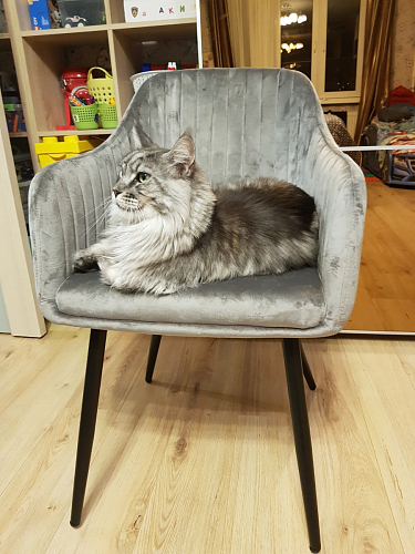 Стул на металлокаркасе Slam синий фото покупателя 92