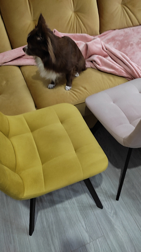 Стул Чилли 2 темно-серый  / черный фото покупателя 879