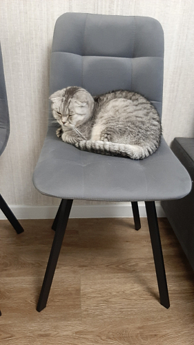 Стул на металлокаркасе Чилли бежевый / белый каркас фото покупателя 1454