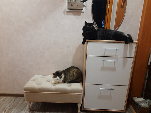 Обувница ТП-2 дуб делано фото покупателя 5