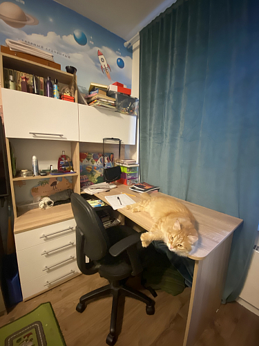 Компьютерный стол КСТ-14.1Л левый дуб сонома / белый фото покупателя 5