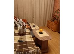 Стол журнальный Лидер дуб сонома фото покупателя 1