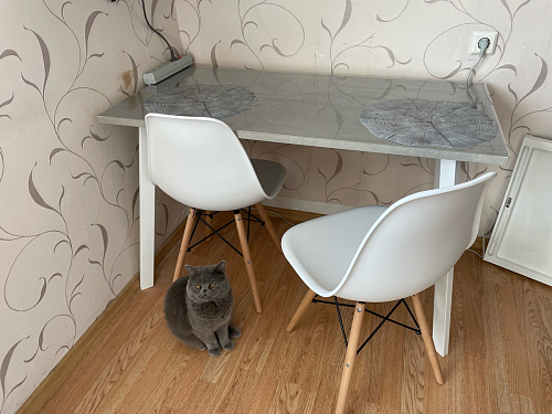 Стол Тринити Лофт 120 25 мм черный матовый / дуб делано темный фото покупателя 153