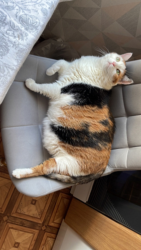 Стул на металлокаркасе Челси морская волна / черный фото покупателя 89