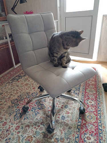 Компьютерное кресло Zero бежевый 7 фото покупателя 226