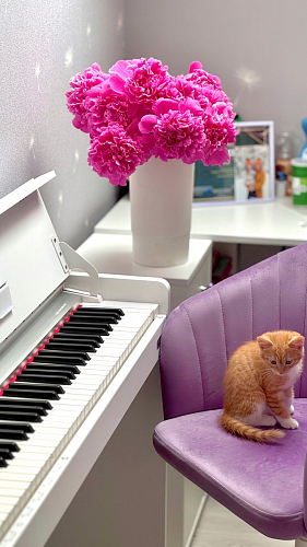 Компьютерное кресло Тибо сиреневый фото покупателя 162