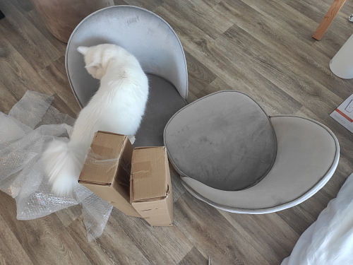 Стул на металлокаркасе Dodo blue фото покупателя 43