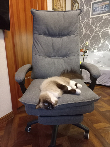 Компьютерное кресло Rapid голубое фото покупателя 2